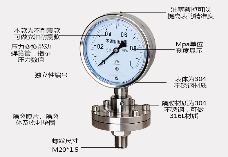YMF-100F耐震隔膜压力表